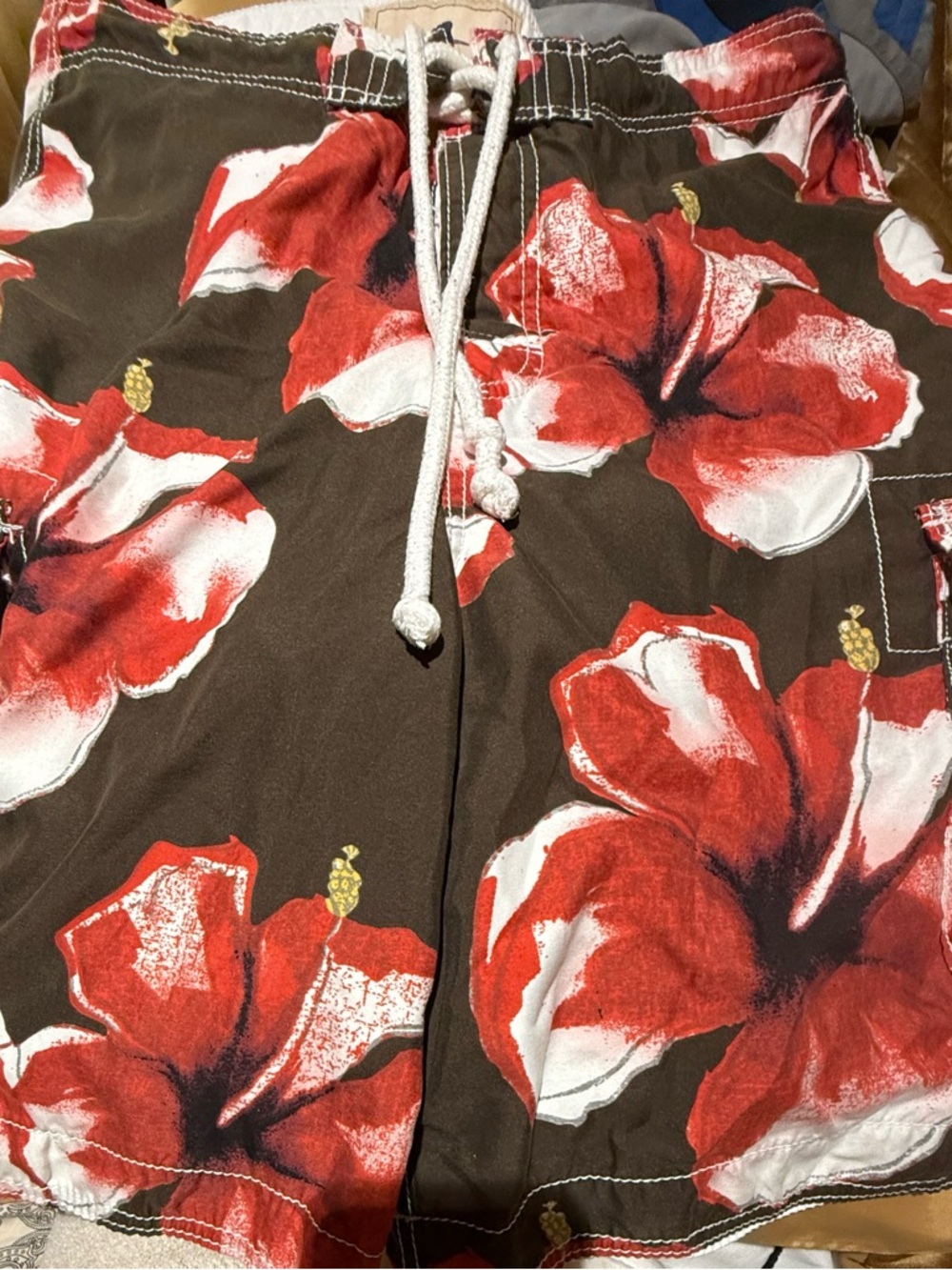 Hollister Brown Swim Shorts with Red & White Floral Print
